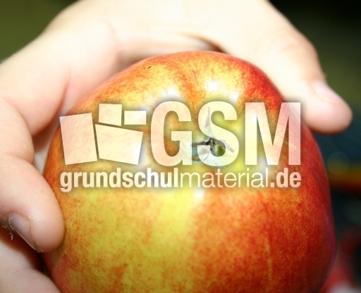 Apfel-Blütenrest-1.jpg